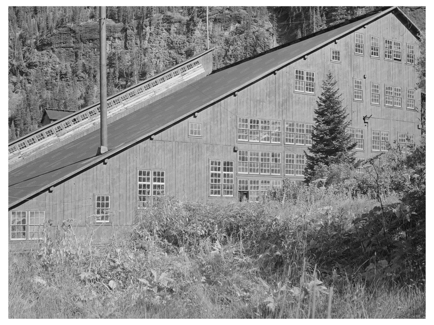 Gold Mill Detail Camp Bird Mine Ouray County Colorado 1940