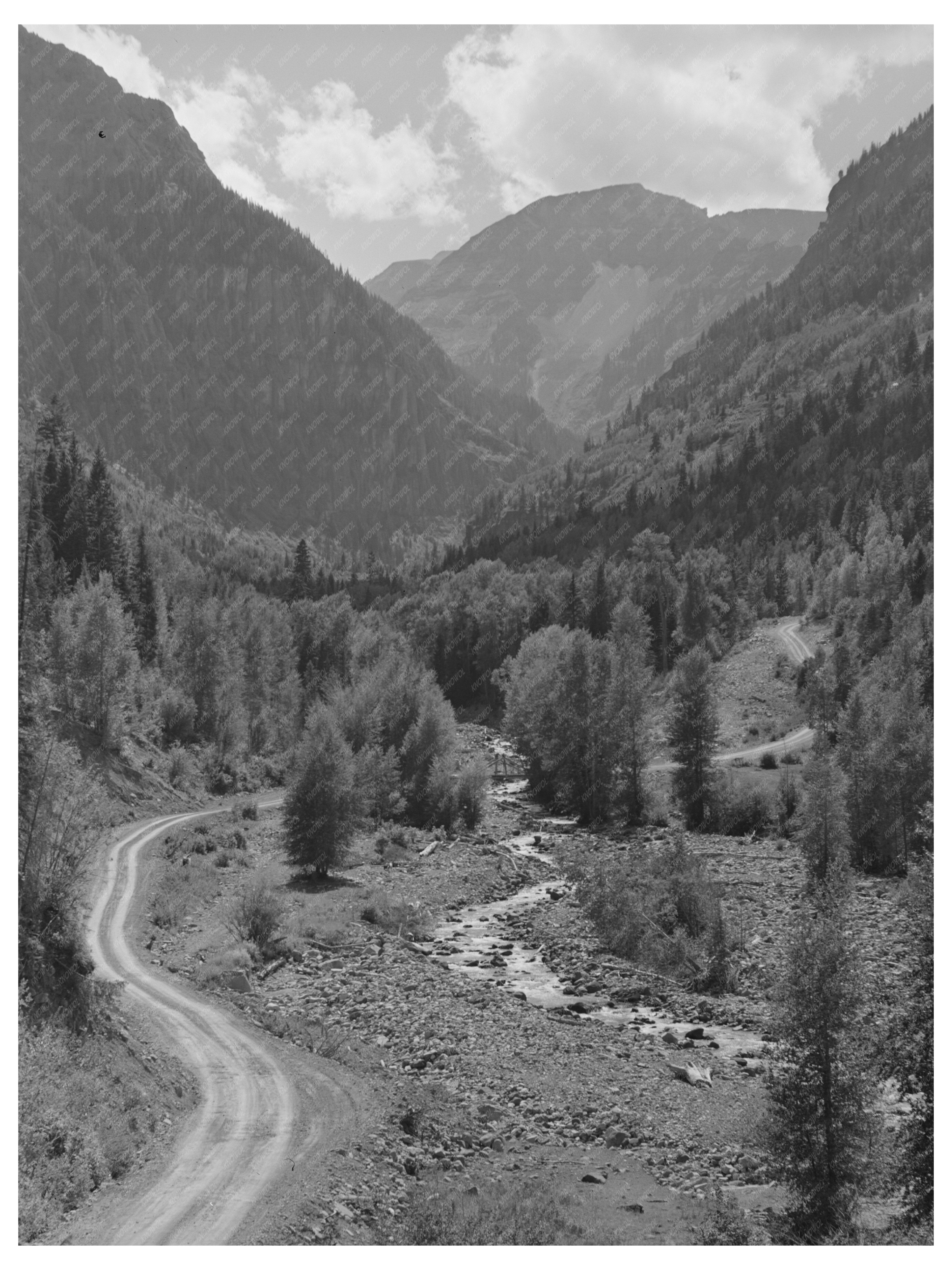 Mountain Stream and Road Ouray County Colorado 1940