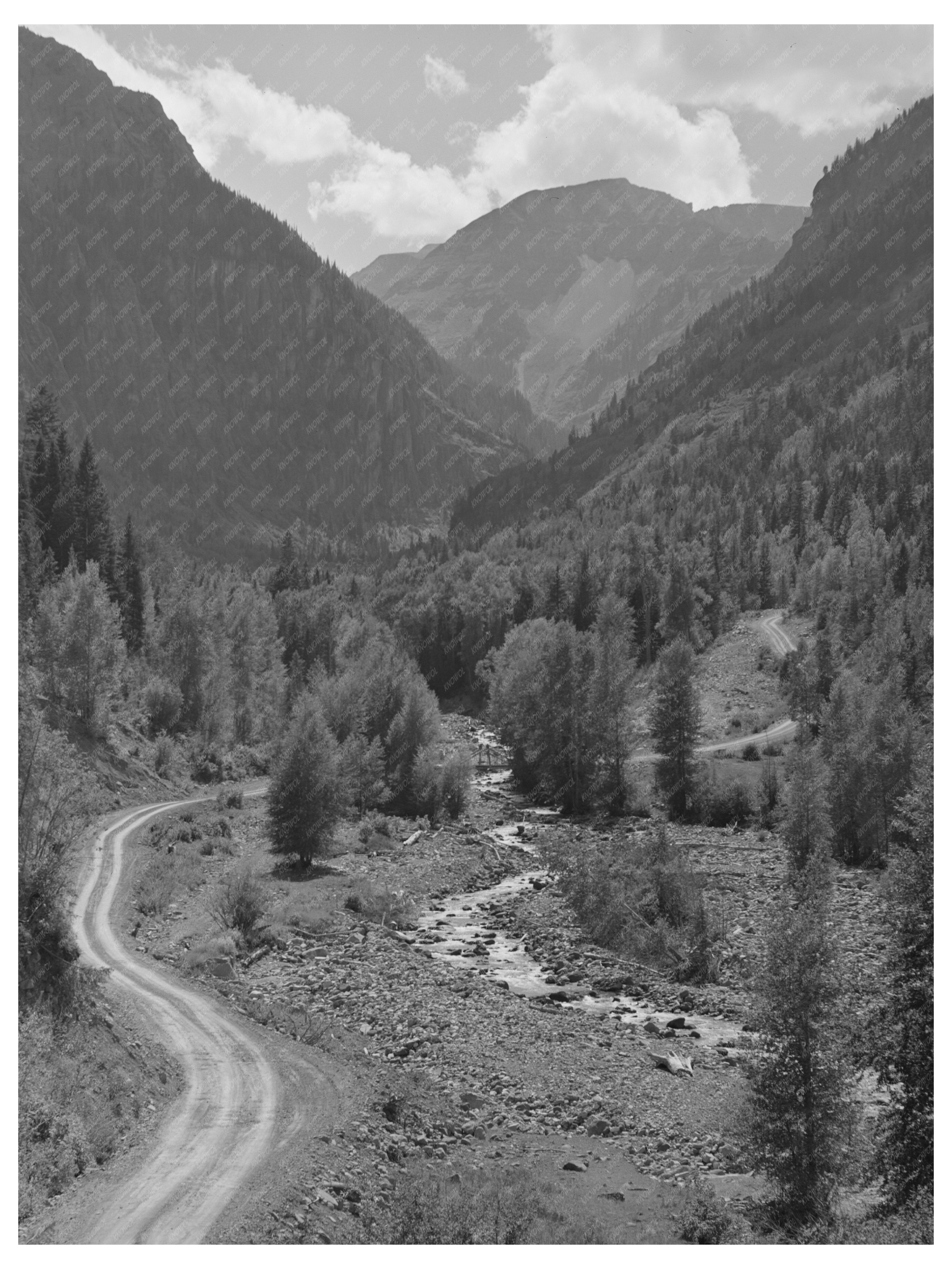 Mountain Stream and Road in Ouray County Colorado 1940