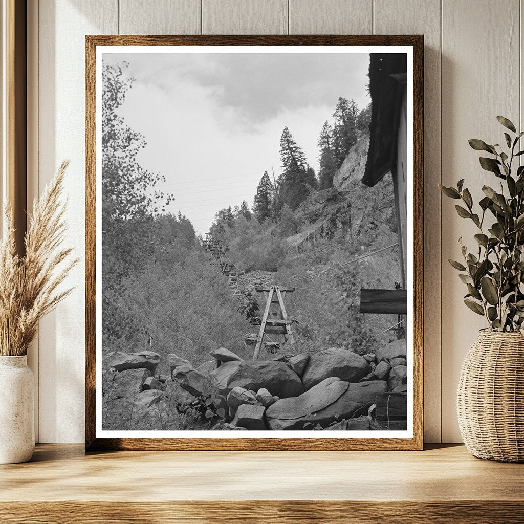 Aerial Tram and Railway Station in Ophir Colorado 1940