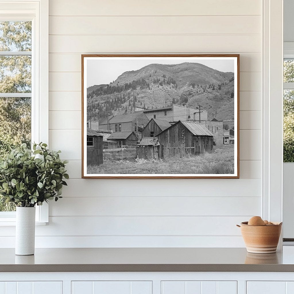 Telluride Colorado Backyards September 1940