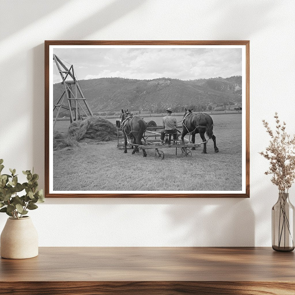 Vintage Hay Pusher in Uncompahgre River Valley 1940