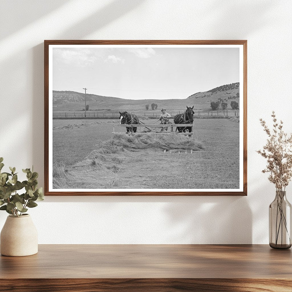 Hay Piling in Uncompahgre River Valley Ouray County 1940