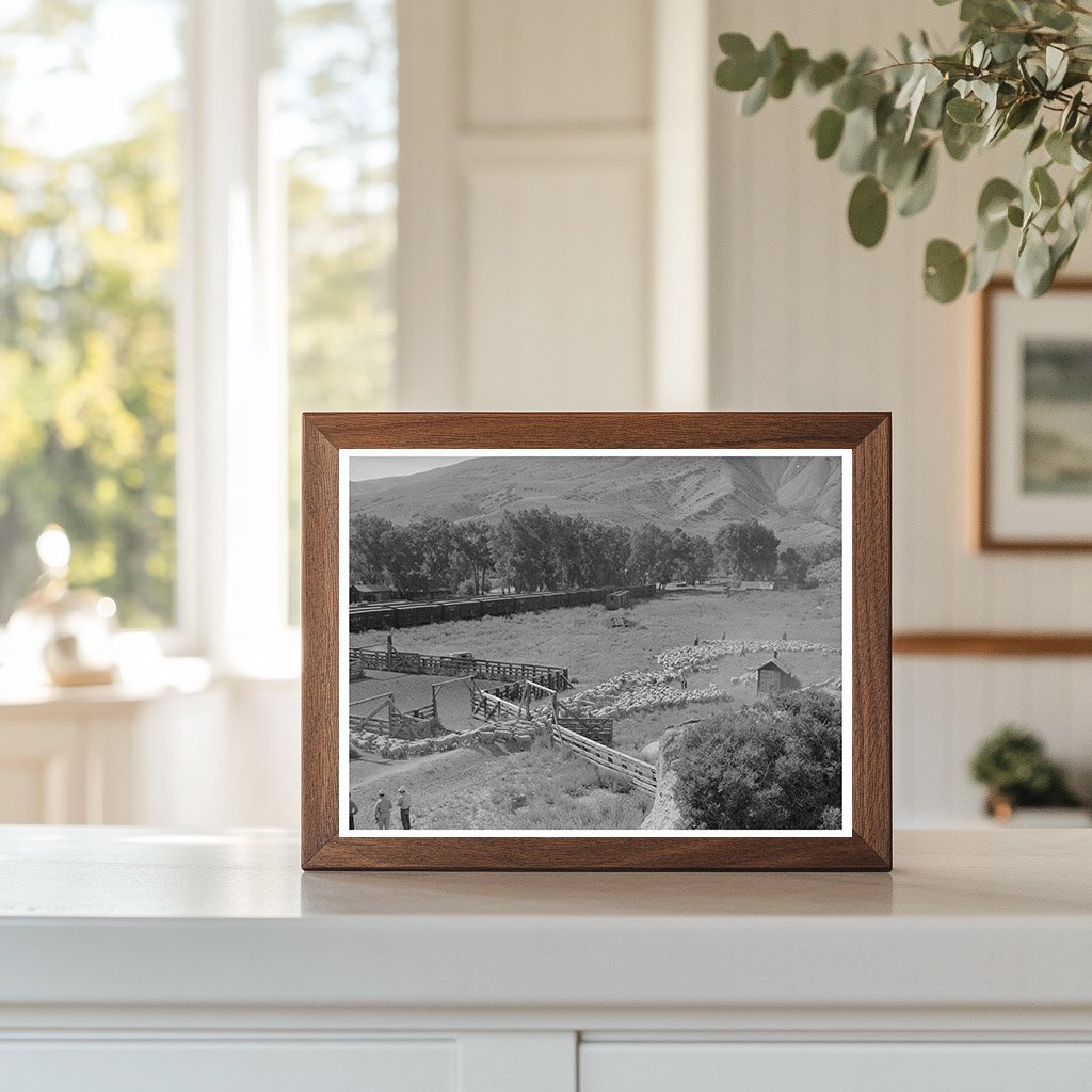 Vintage Photo of Lamb Transportation in Cimarron 1940