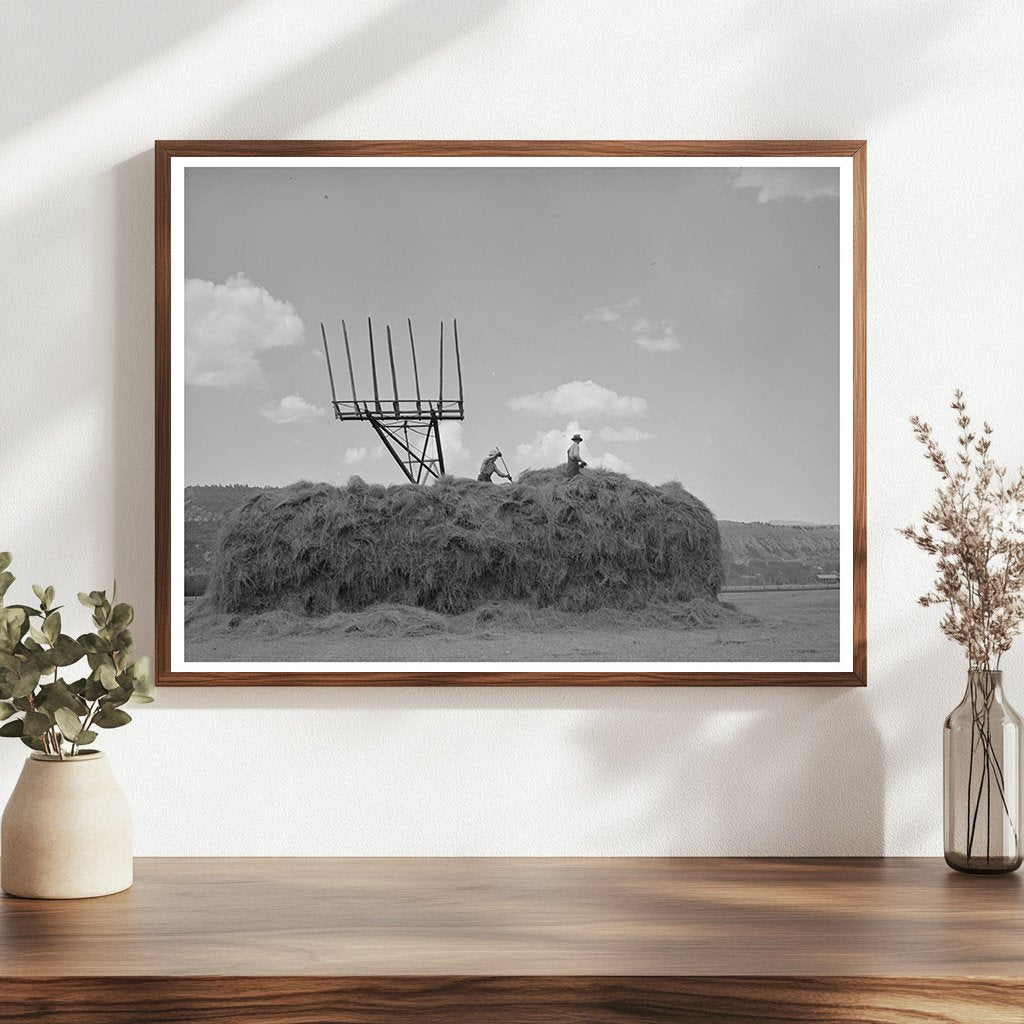 Hay Stacker and Haystack Ouray County Colorado 1940