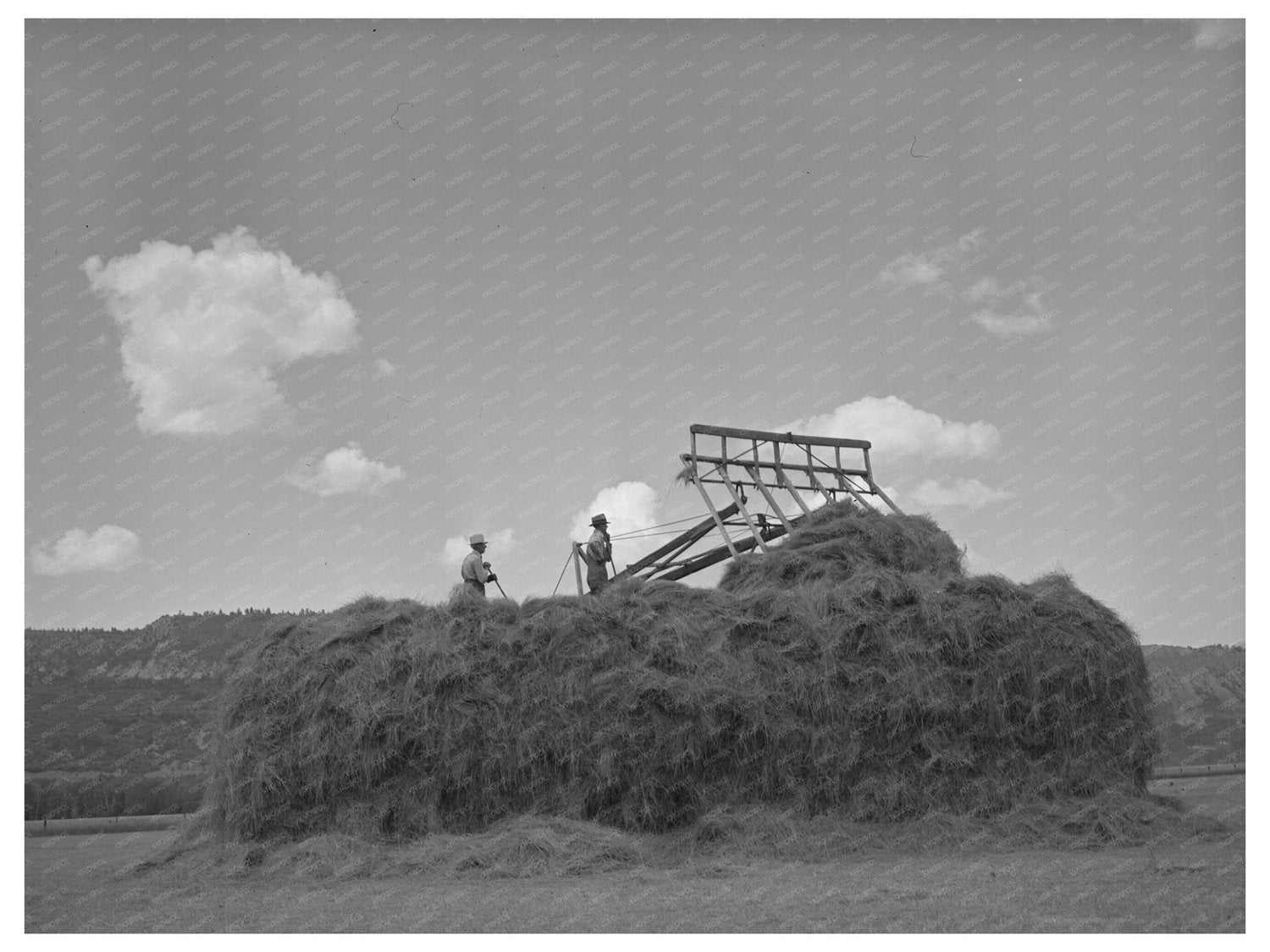 Hay Stacking Scene in Ouray County Colorado 1940
