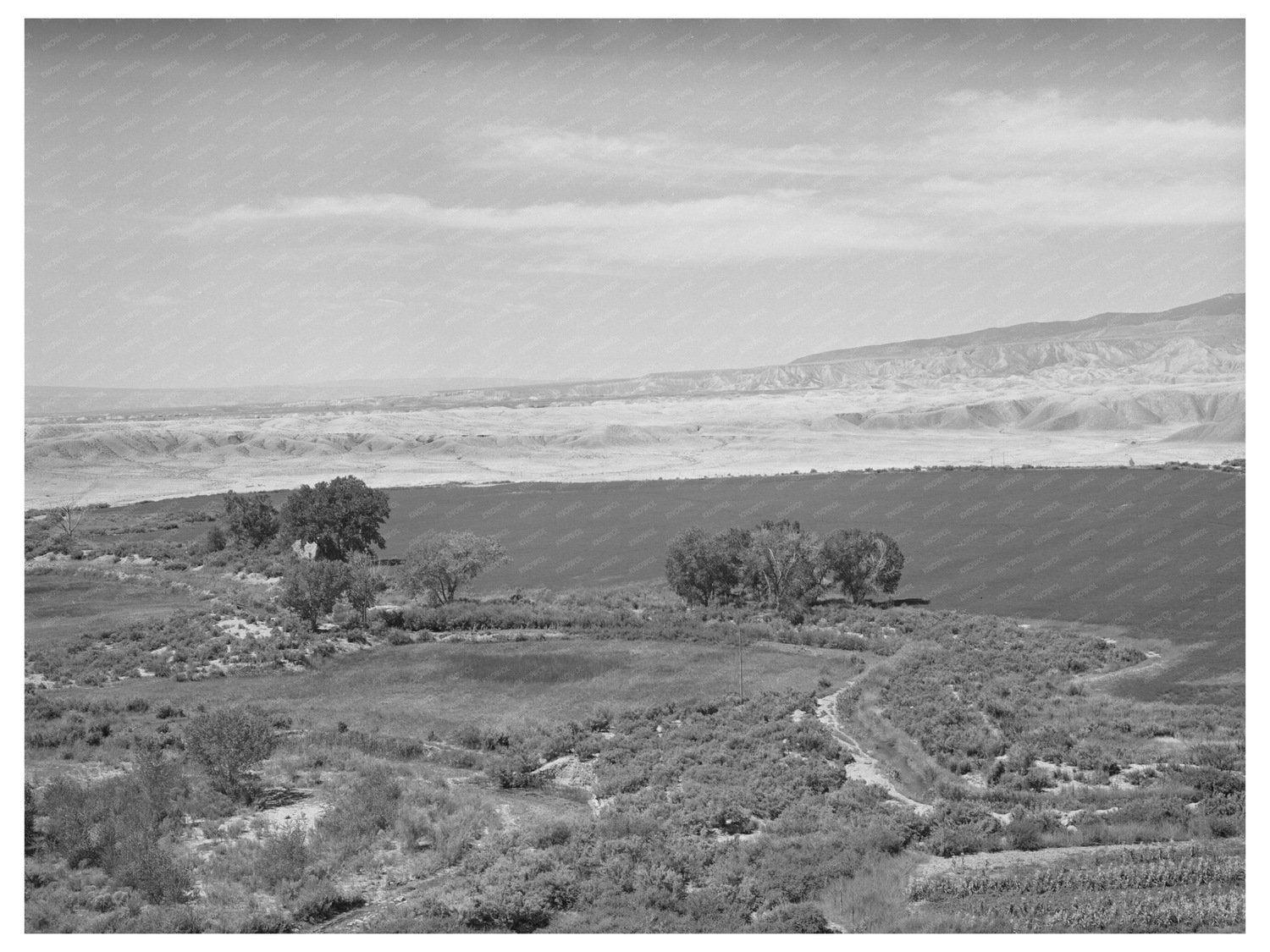 Irrigated Farmland in Delta County Colorado 1940