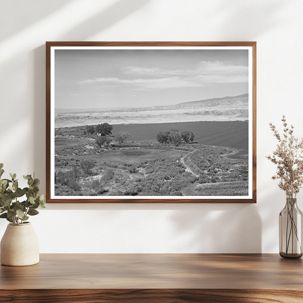 Irrigated Farmland in Delta County Colorado 1940