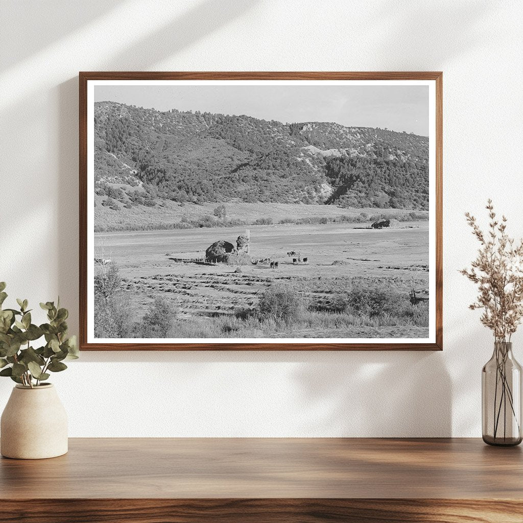 Ouray County Colorado Haying Activity September 1940