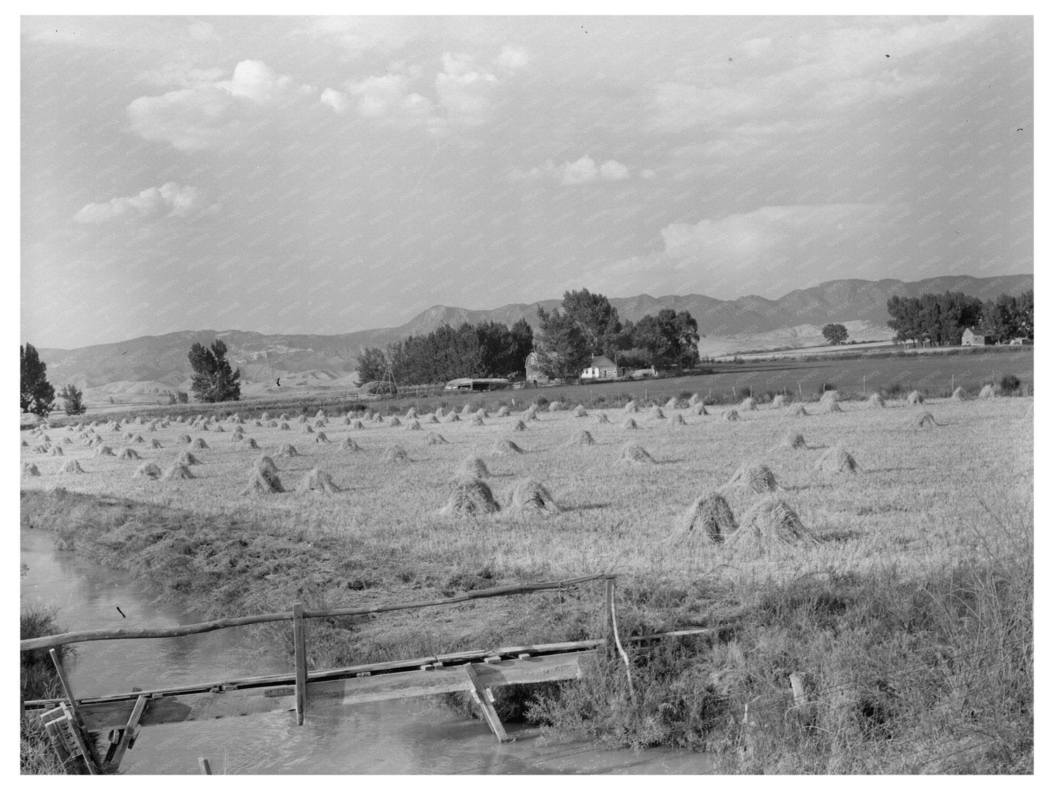 Irrigated Farm in Montrose County Colorado September 1940