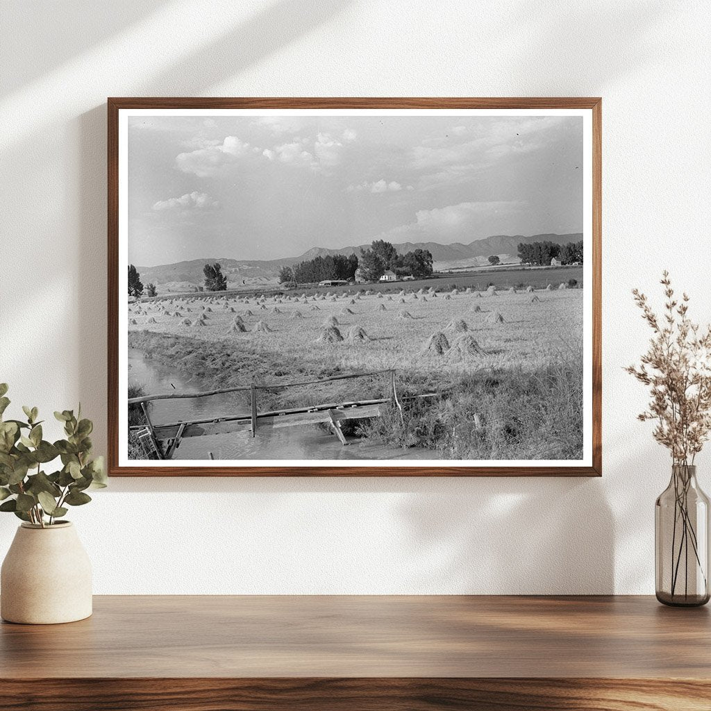 Irrigated Farm in Montrose County Colorado September 1940
