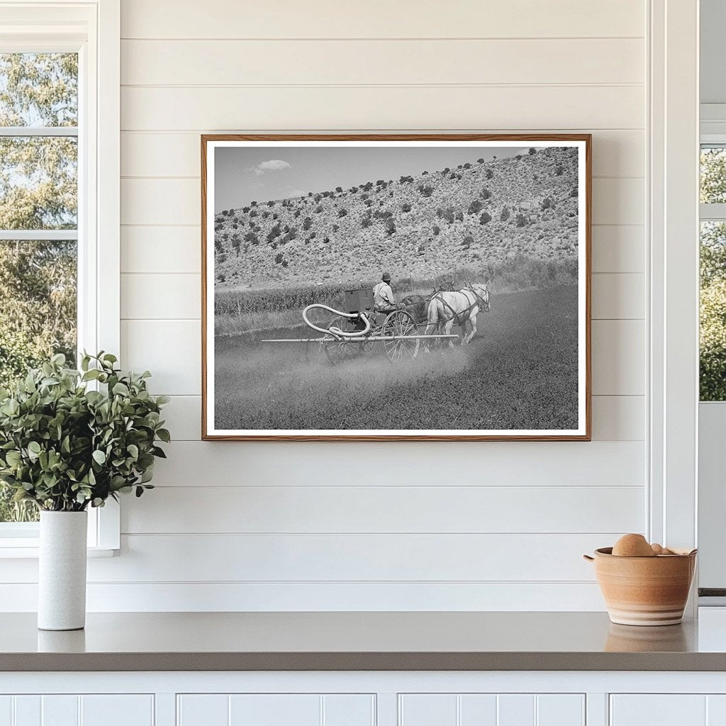 1940 Allen Valley Duster Association Alfalfa Dusting Utah