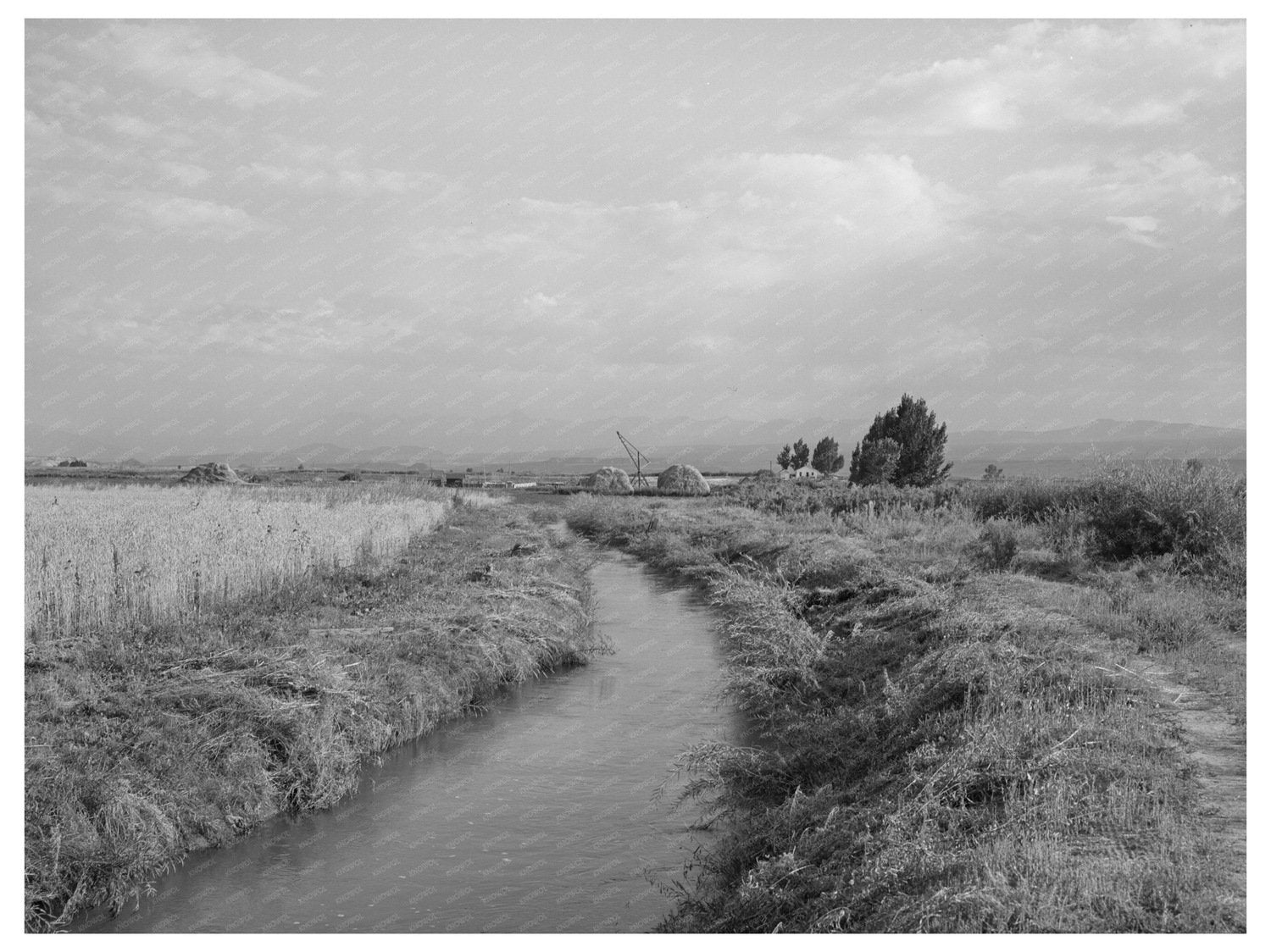 Irrigation Ditch to Farm in Montrose Colorado 1940
