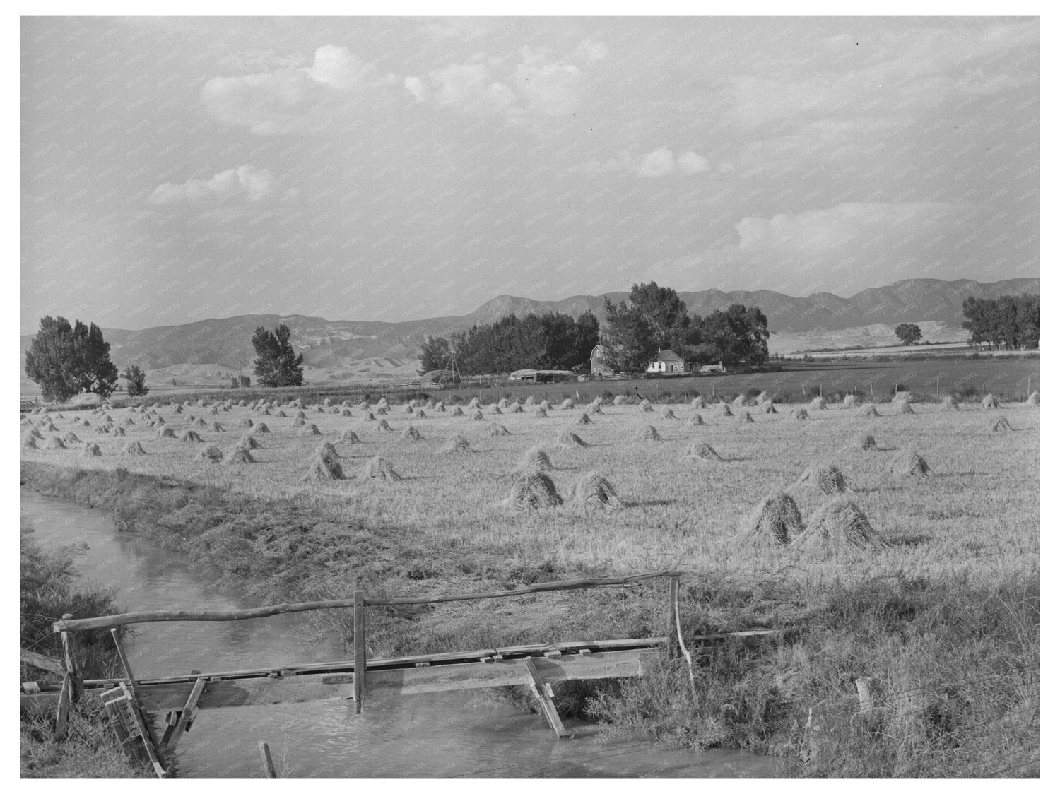 Montrose County Colorado Irrigation Ditch 1940