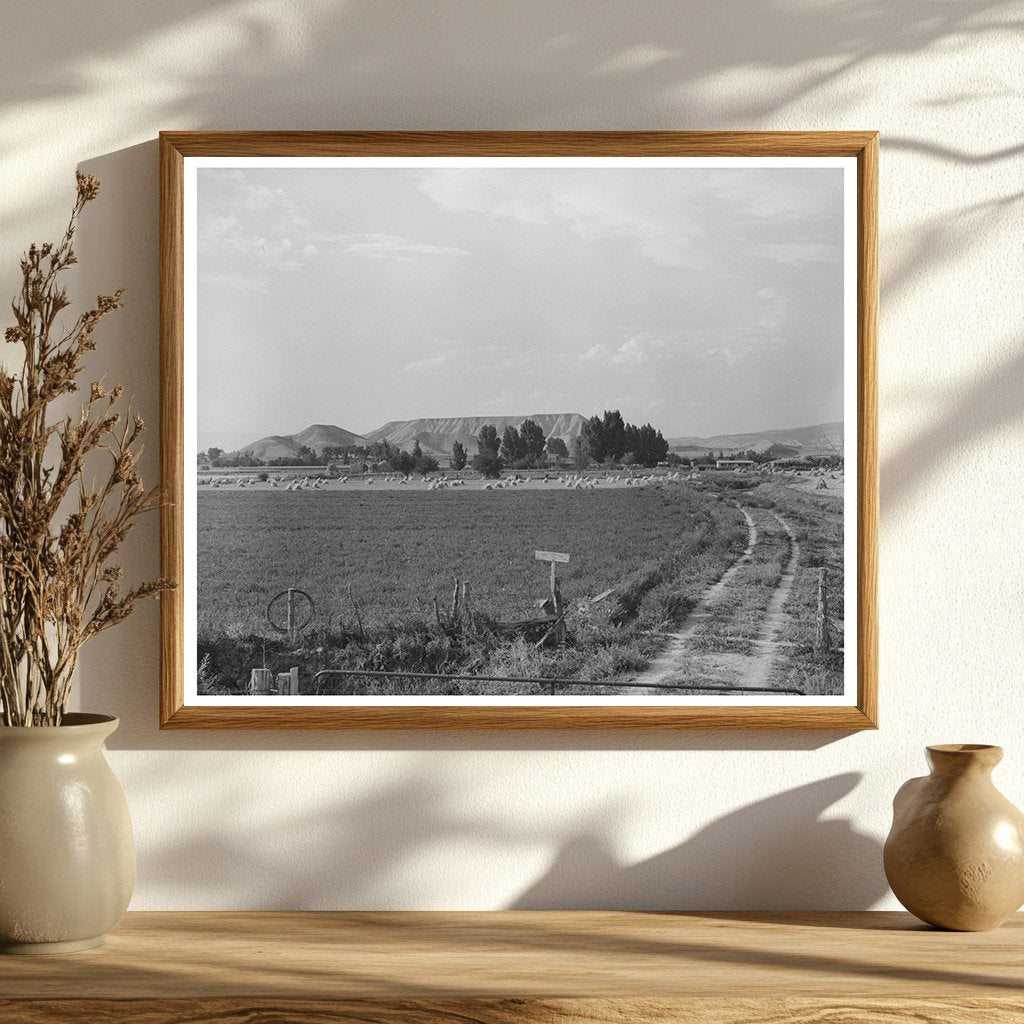 Farm Scene Montrose County Colorado September 1940