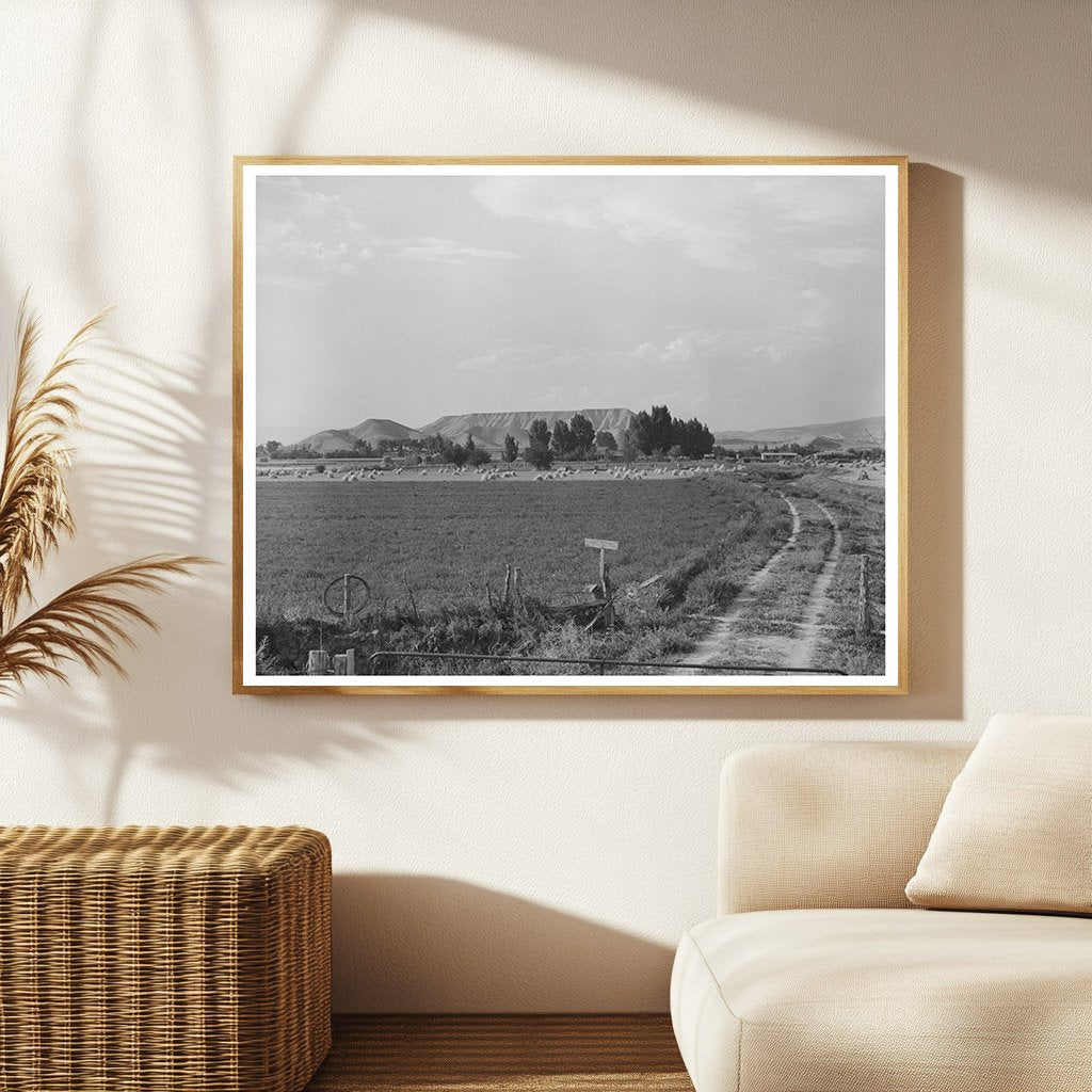 Farm Scene Montrose County Colorado September 1940