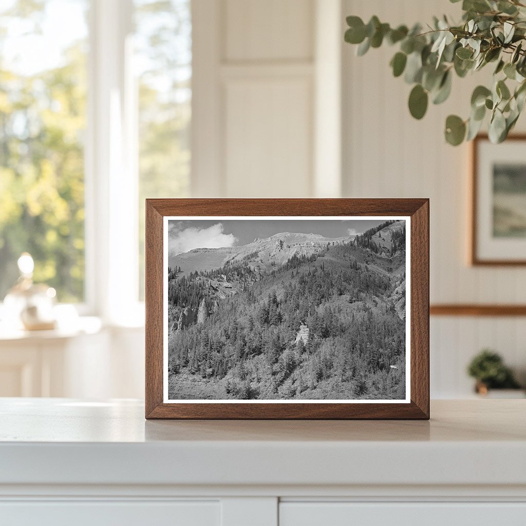 Telluride Colorado Landscape Above Timberline 1940
