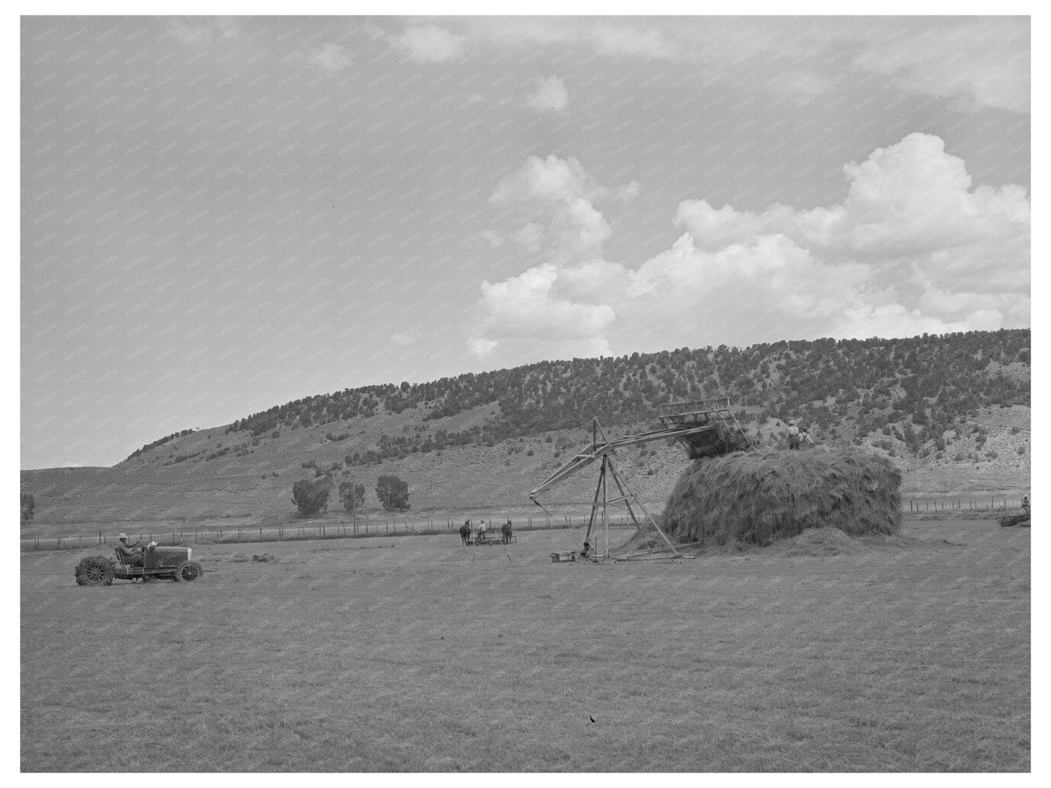 Homemade Tractor and Stacker for Hay in Ouray County 1940