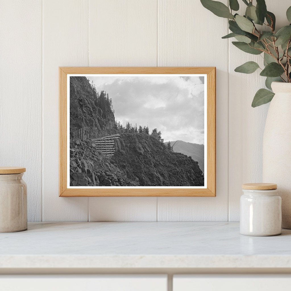 Mountain Road to Smugglers Mine Telluride Colorado 1940