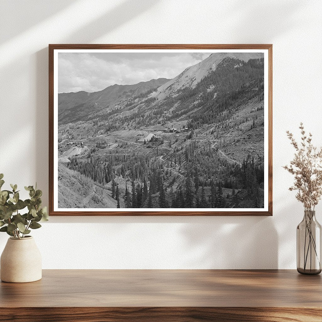 Deforestation Effects Near Red Mountain Colorado 1940