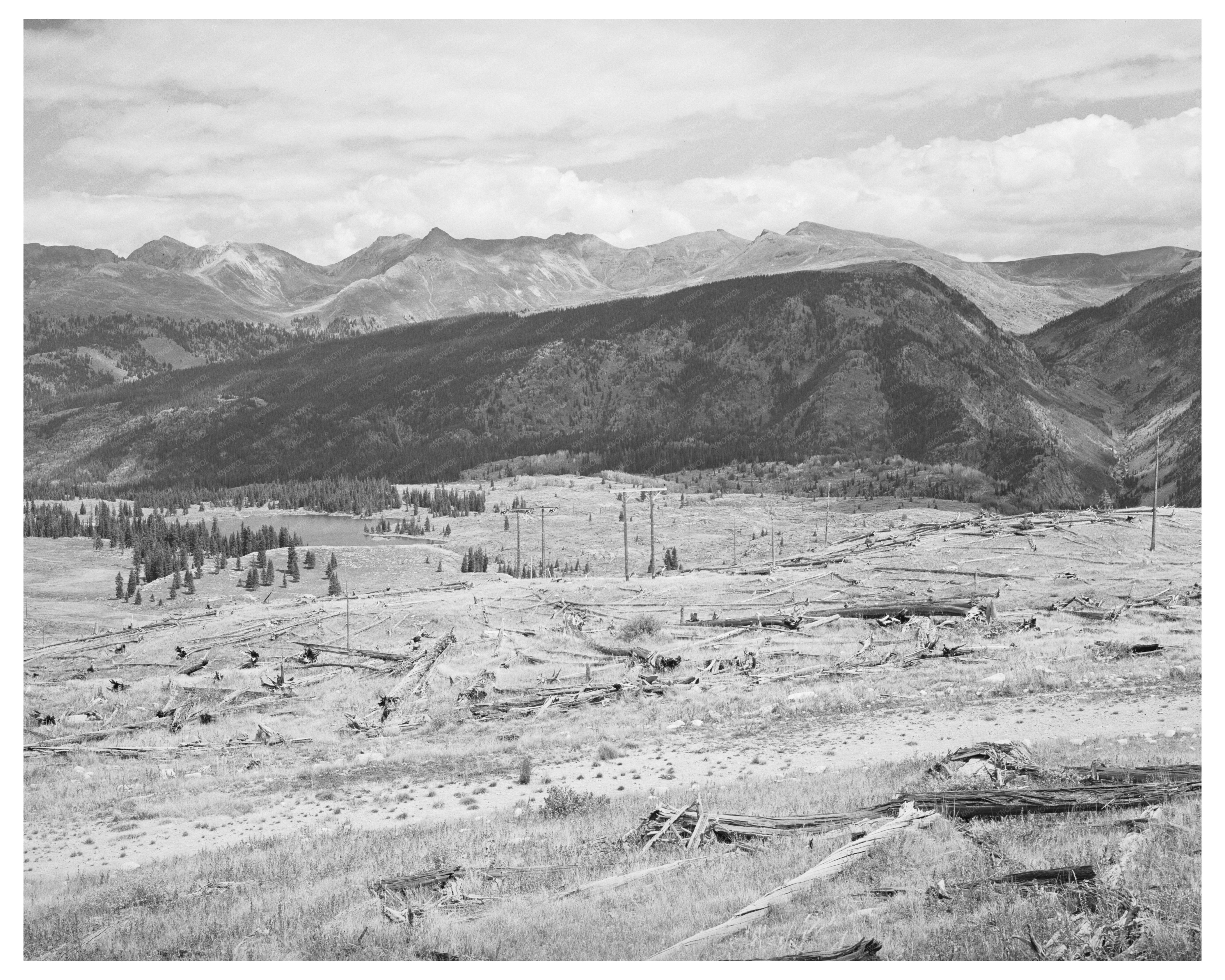 Deforestation Impact near Electra Lake Colorado 1940
