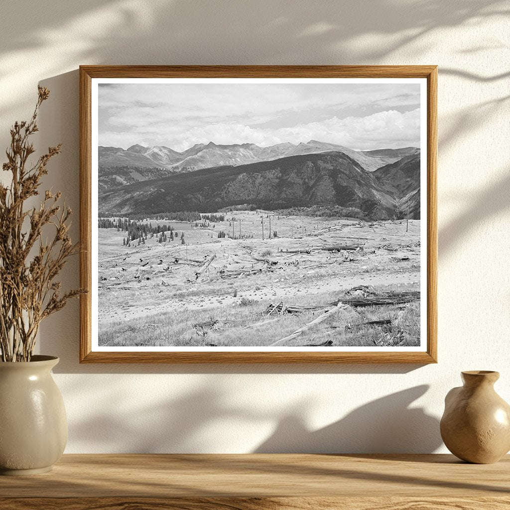 Deforestation Impact near Electra Lake Colorado 1940