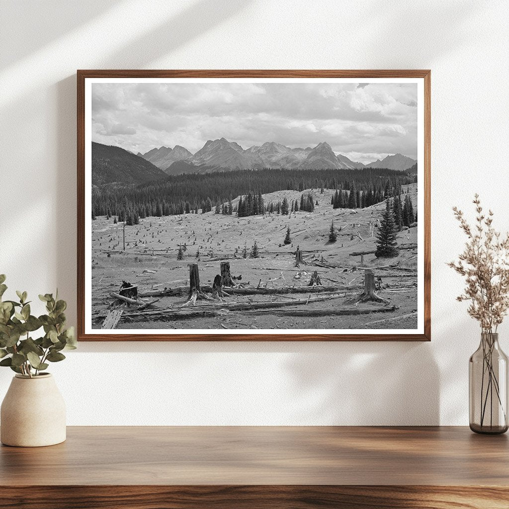 Deforestation Effects in San Juan County Colorado 1940