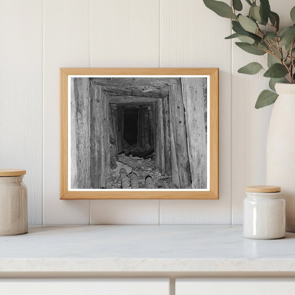 Timbered Tunnel Leading to Mine in San Juan County 1940