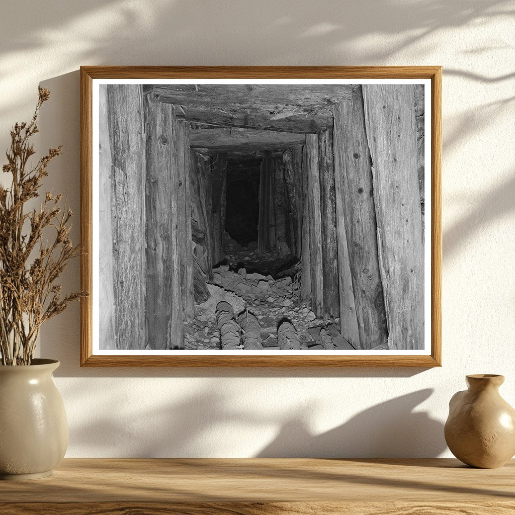 Timbered Tunnel Leading to Mine in San Juan County 1940