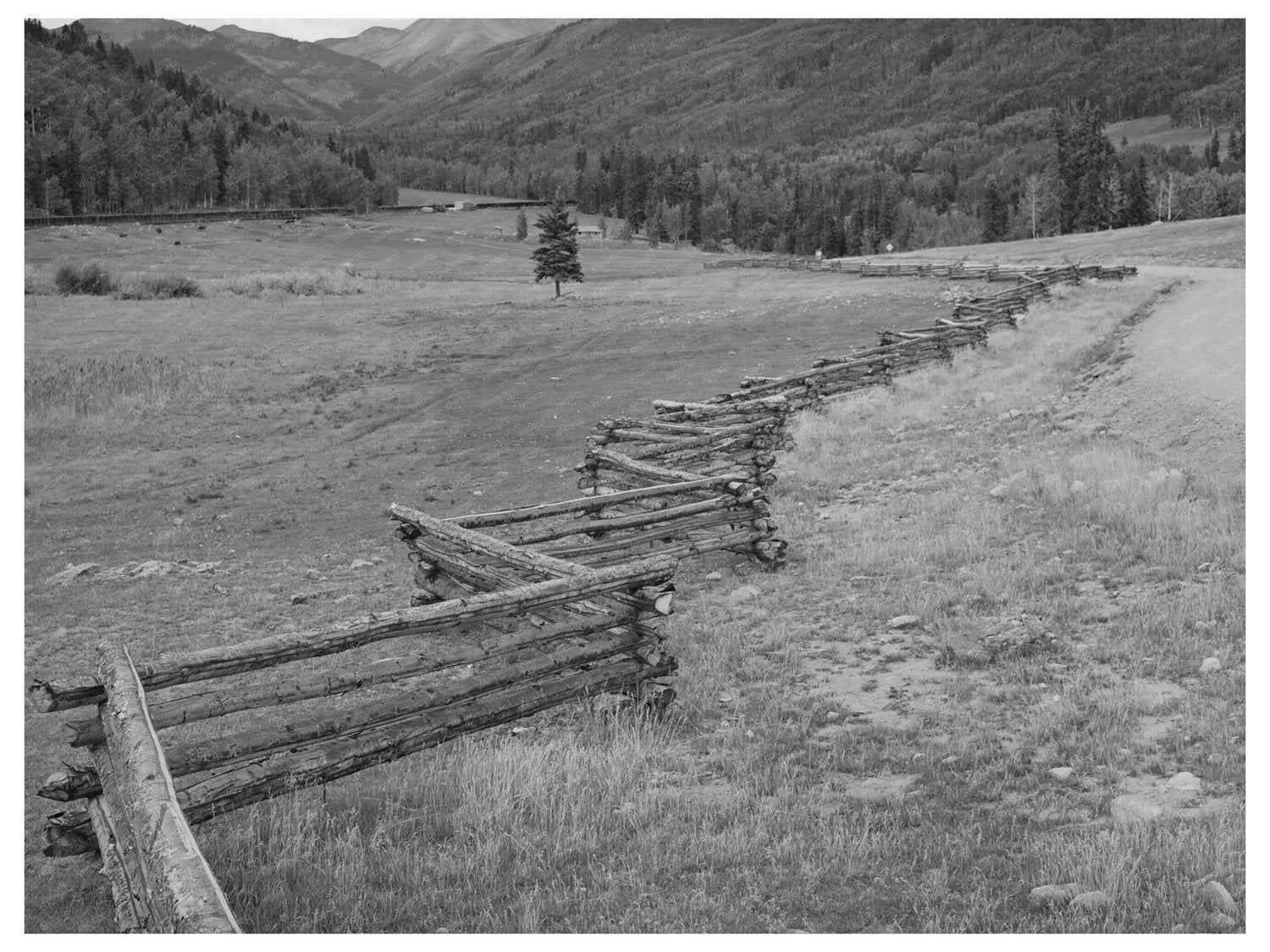 Rail Fence in San Juan County Colorado 1940