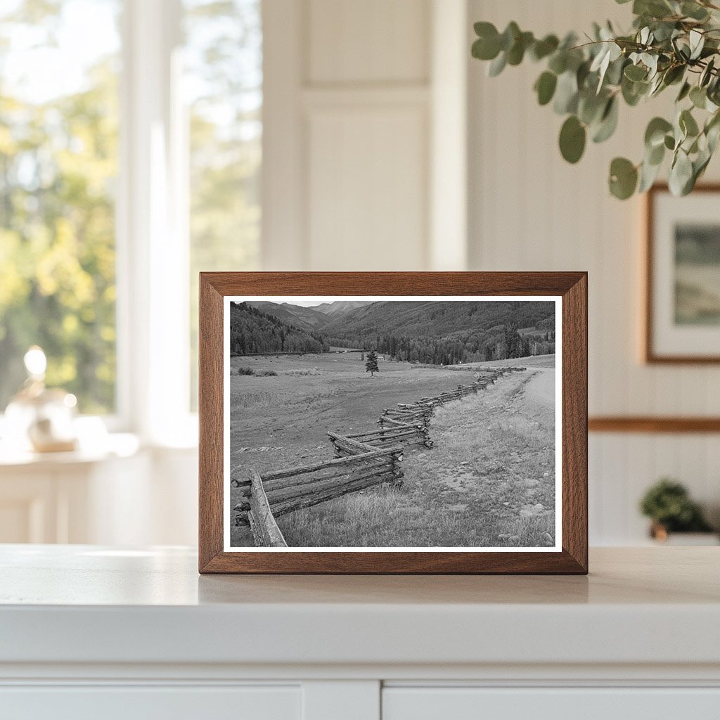 Rail Fence in San Juan County Colorado 1940