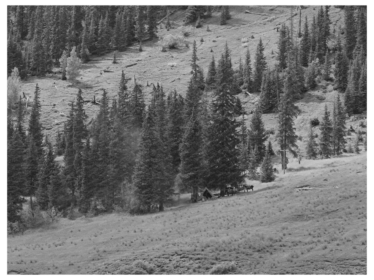 Sheepherders Camp San Juan County Colorado September 1940