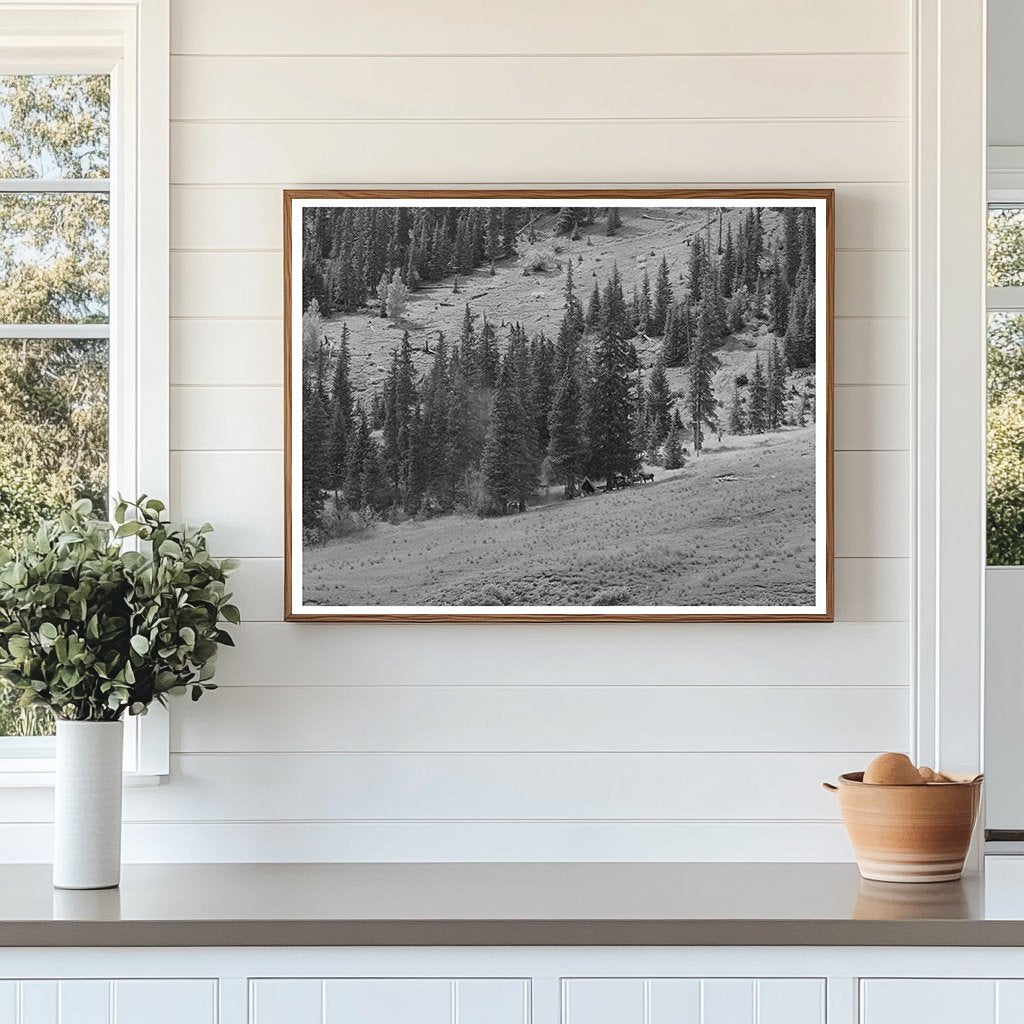 Sheepherders Camp San Juan County Colorado September 1940