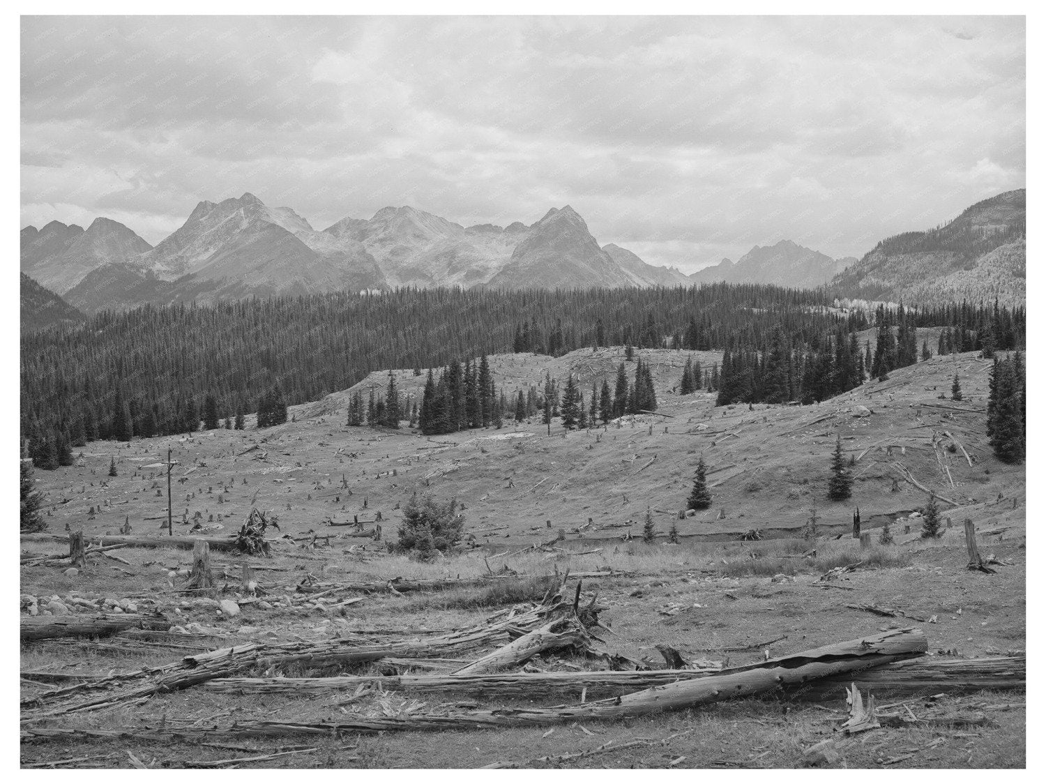 Deforestation Impact in San Juan County Colorado 1940
