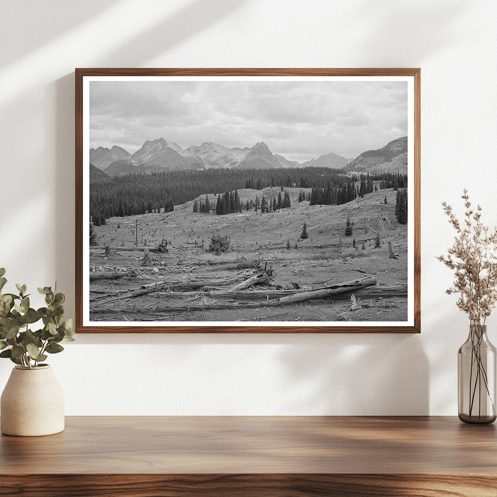 Deforestation Impact in San Juan County Colorado 1940