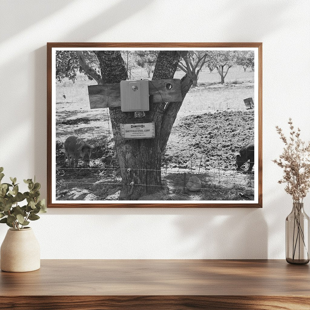 Electric Fence on Farm Animas River Valley Colorado 1940