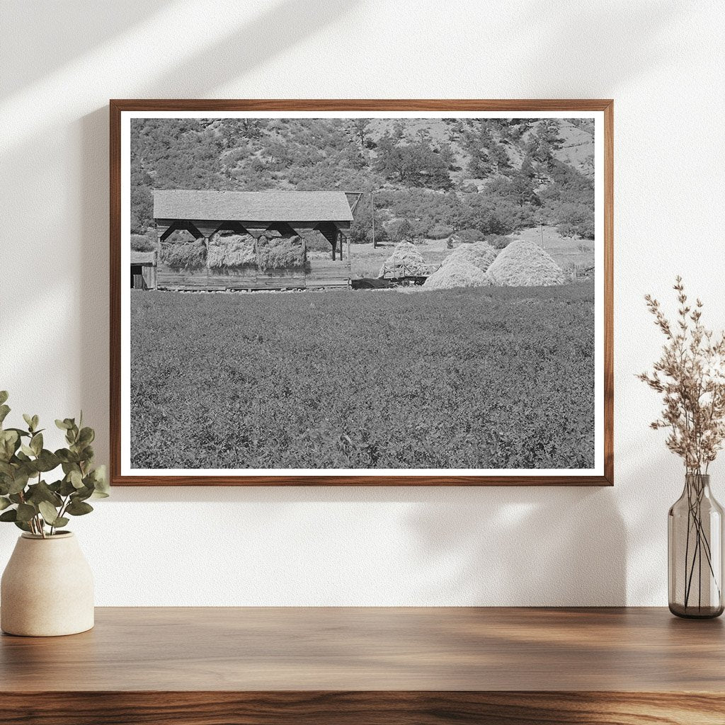 Alfalfa Field and Hay Barn in La Plata County 1940