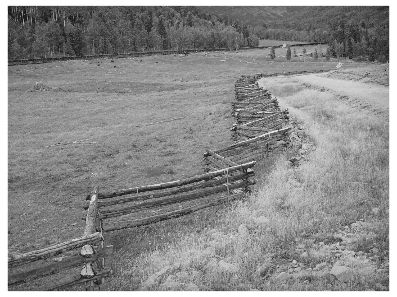Vintage Rail Fence in San Juan County Colorado 1940