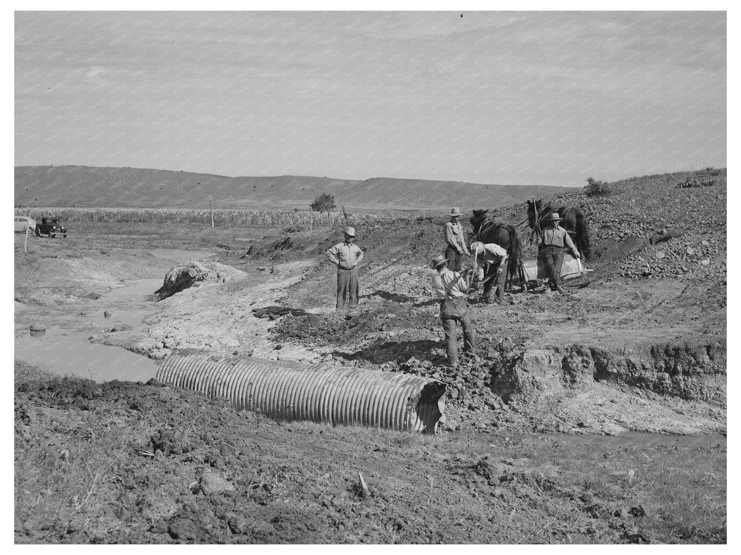 Men Building Bridge in Concho Arizona October 1940