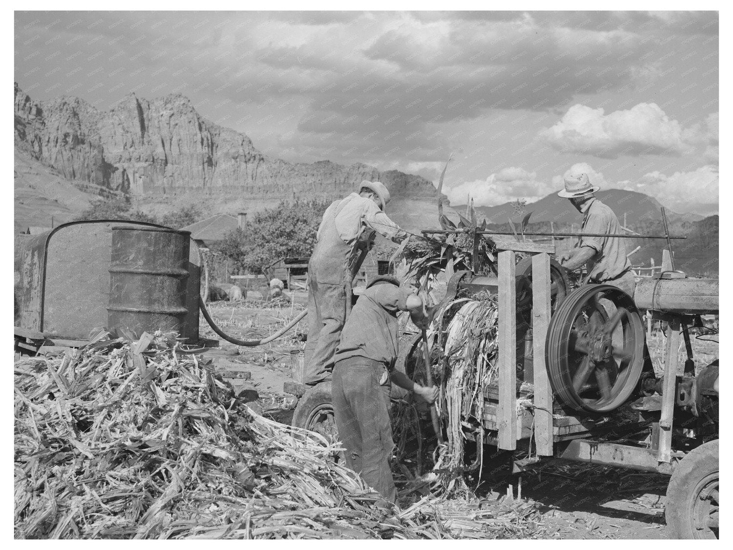 Sugar Cane Juice Extraction Farm Ivins Utah 1940