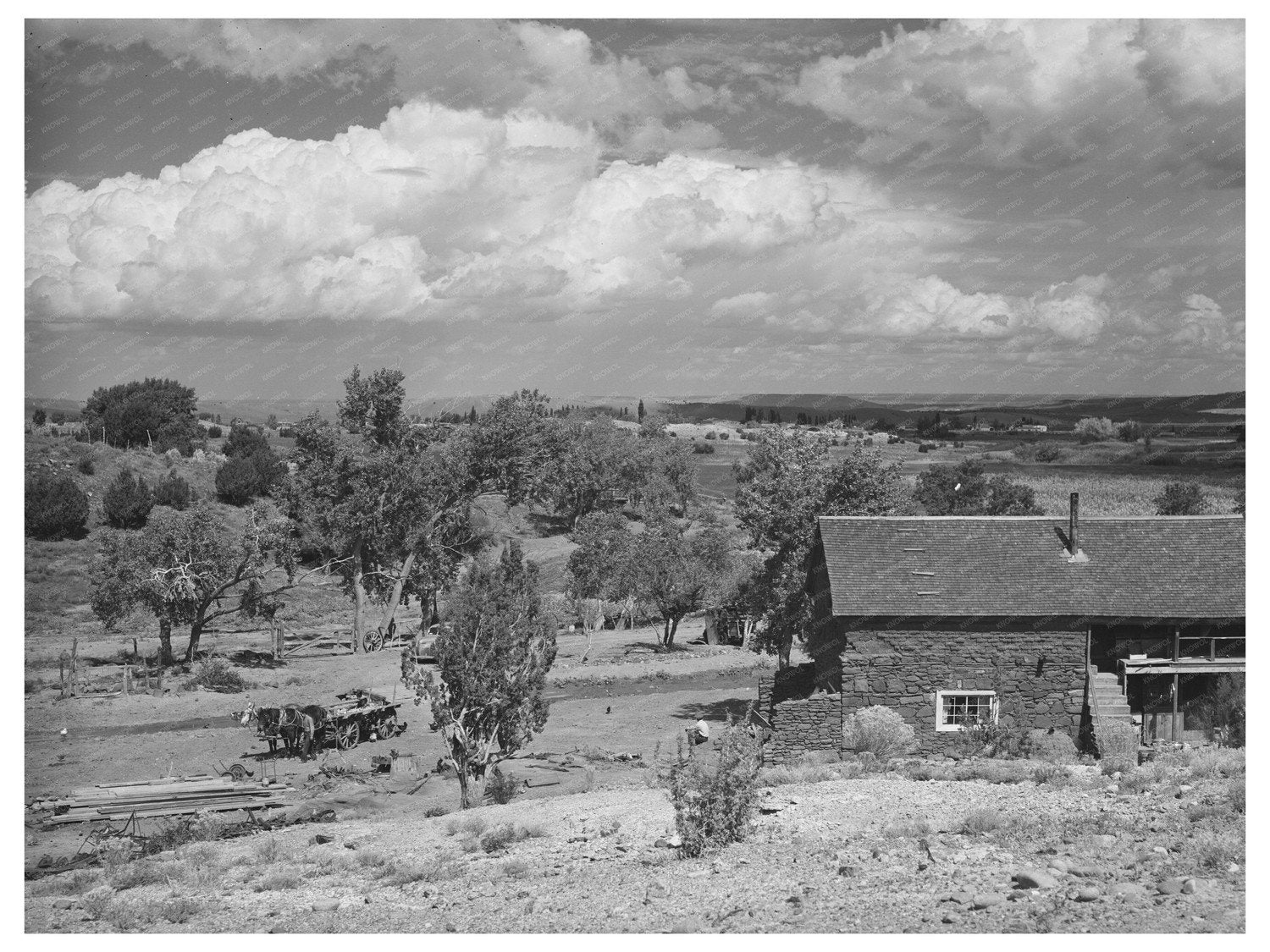 Concho Arizona Farmstead October 1940 Historical Image