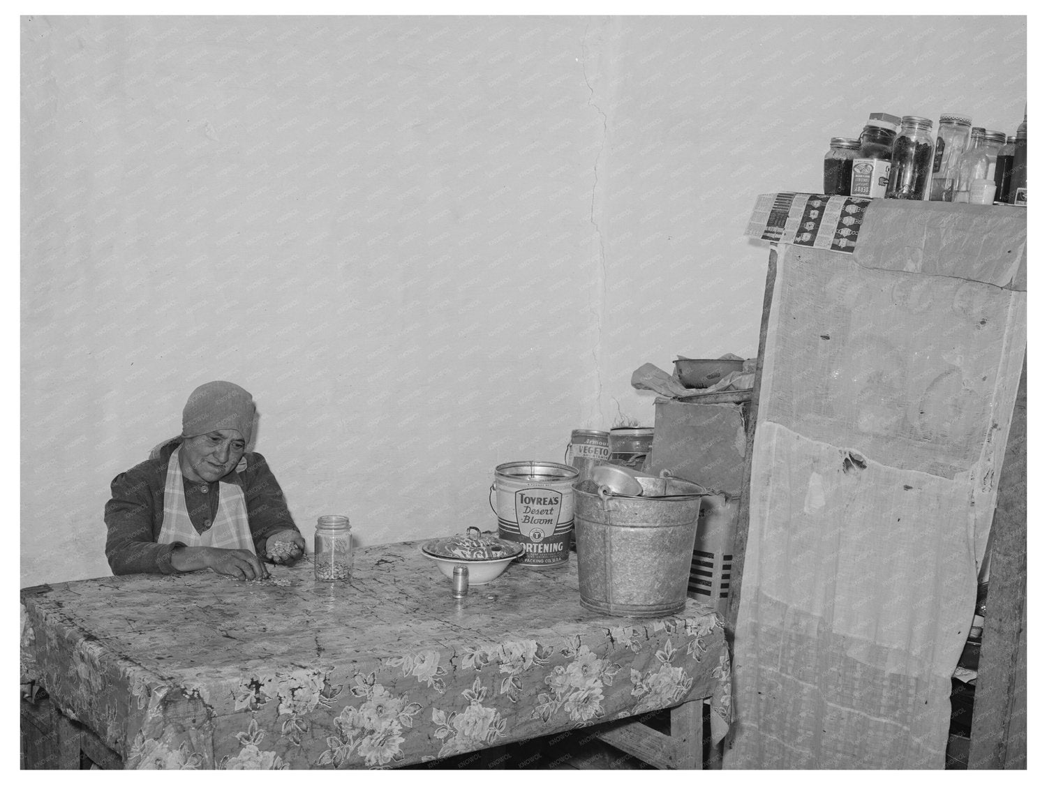 Spanish Woman Sorting Beans in Concho Arizona 1940