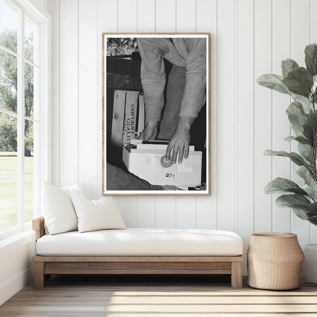 Fruit Loading for Shipment at Santa Clara Warehouse 1940