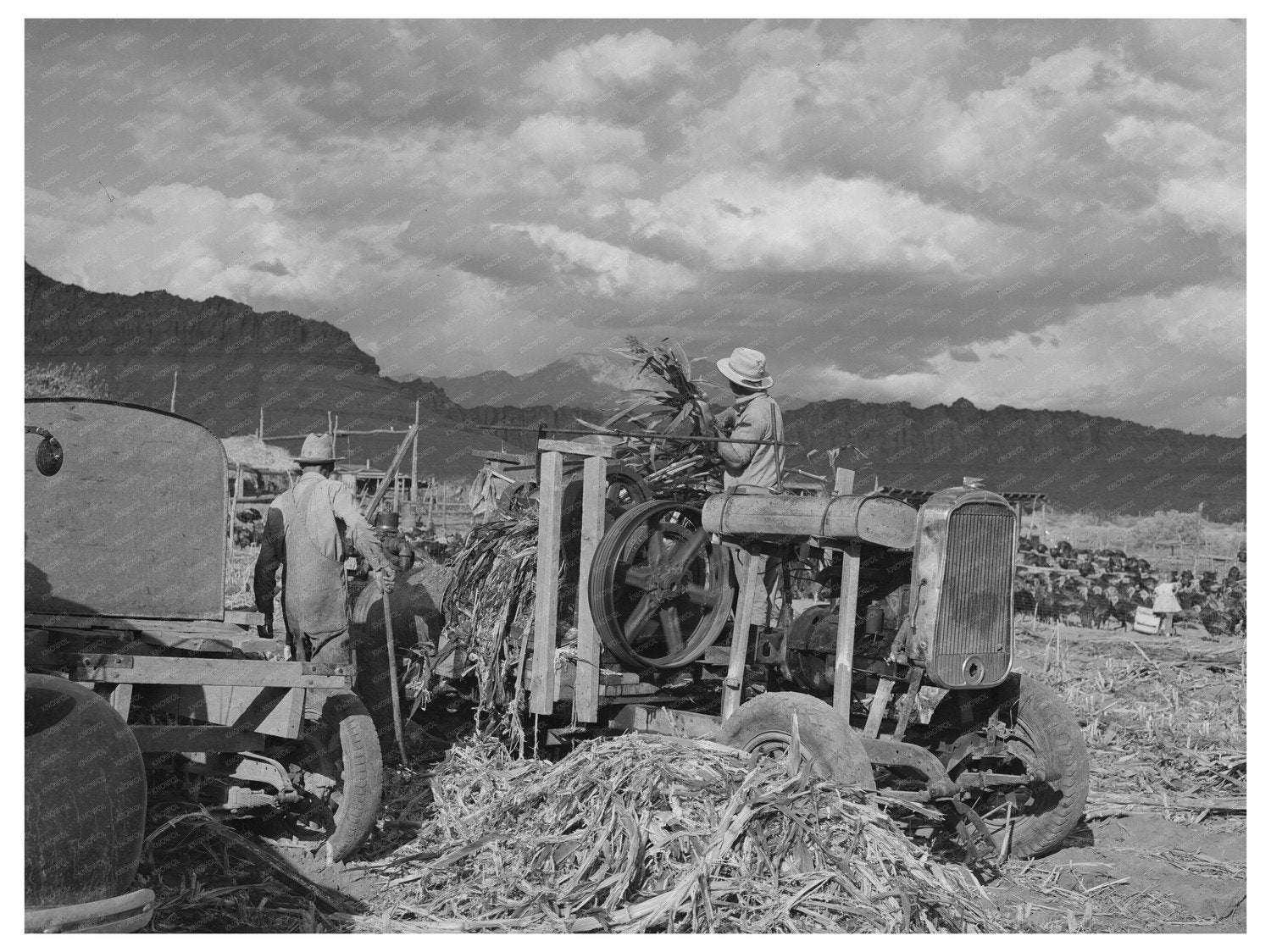 Sugar Cane Juice Extraction in Utah October 1940