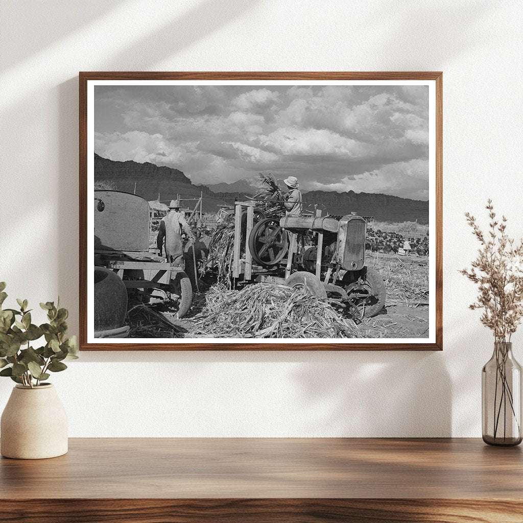 Sugar Cane Juice Extraction in Utah October 1940