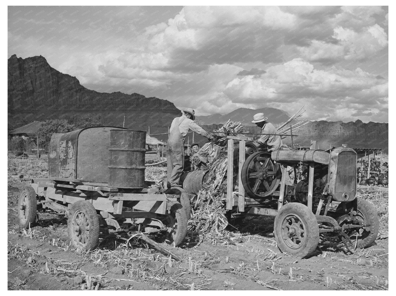 Sugar Cane Juice Extraction in Ivins Utah 1940