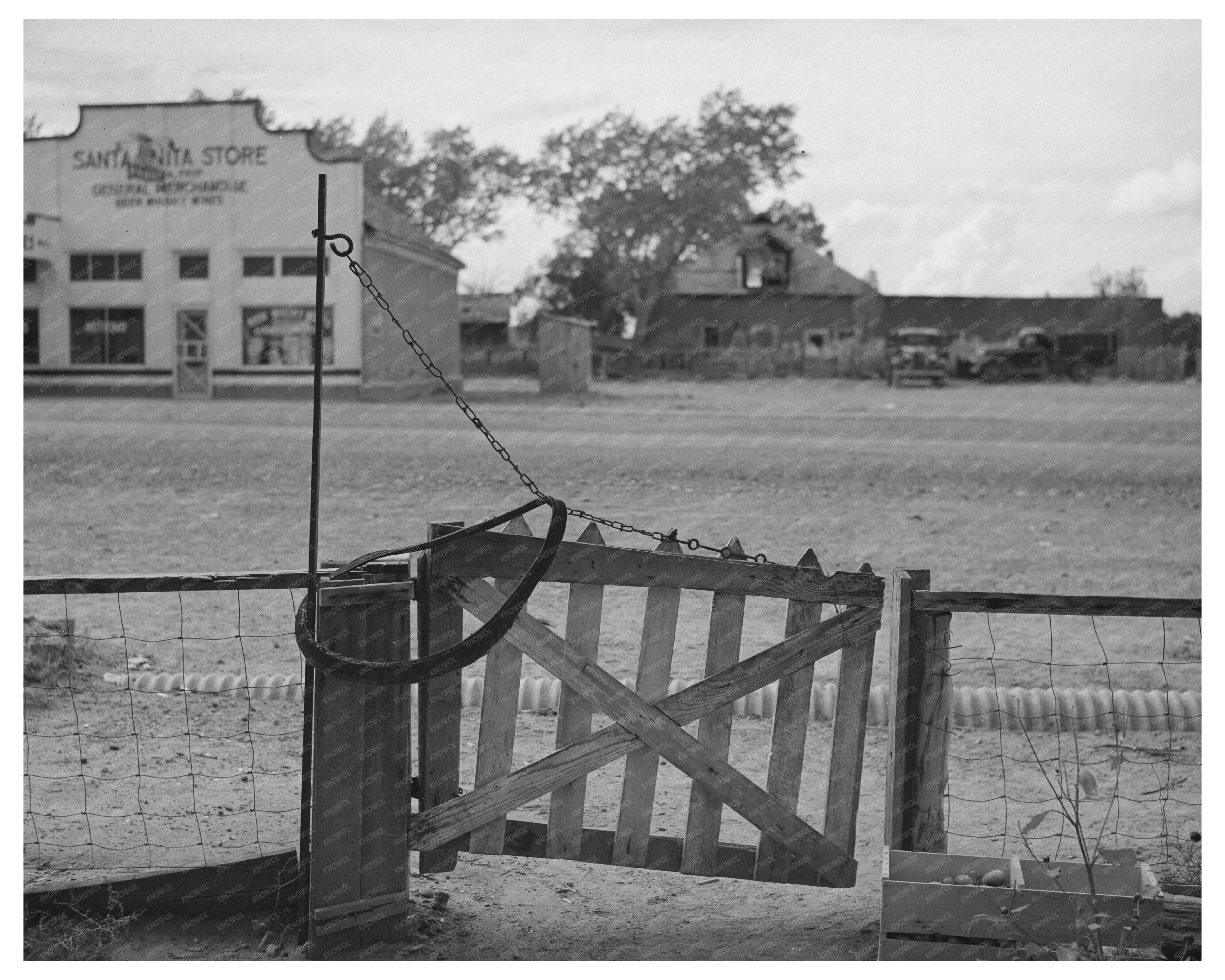 Vintage Store Scene Concho Arizona 1940 FSA Collection