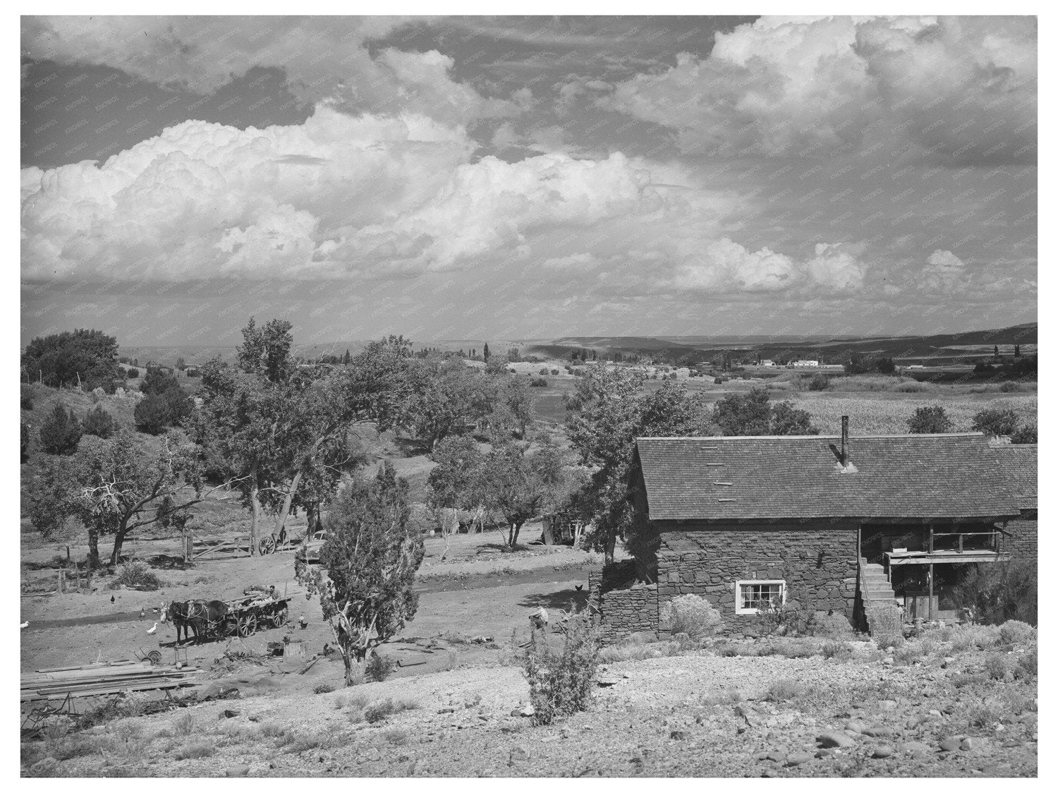 Vintage Farmstead in Concho Arizona 1940