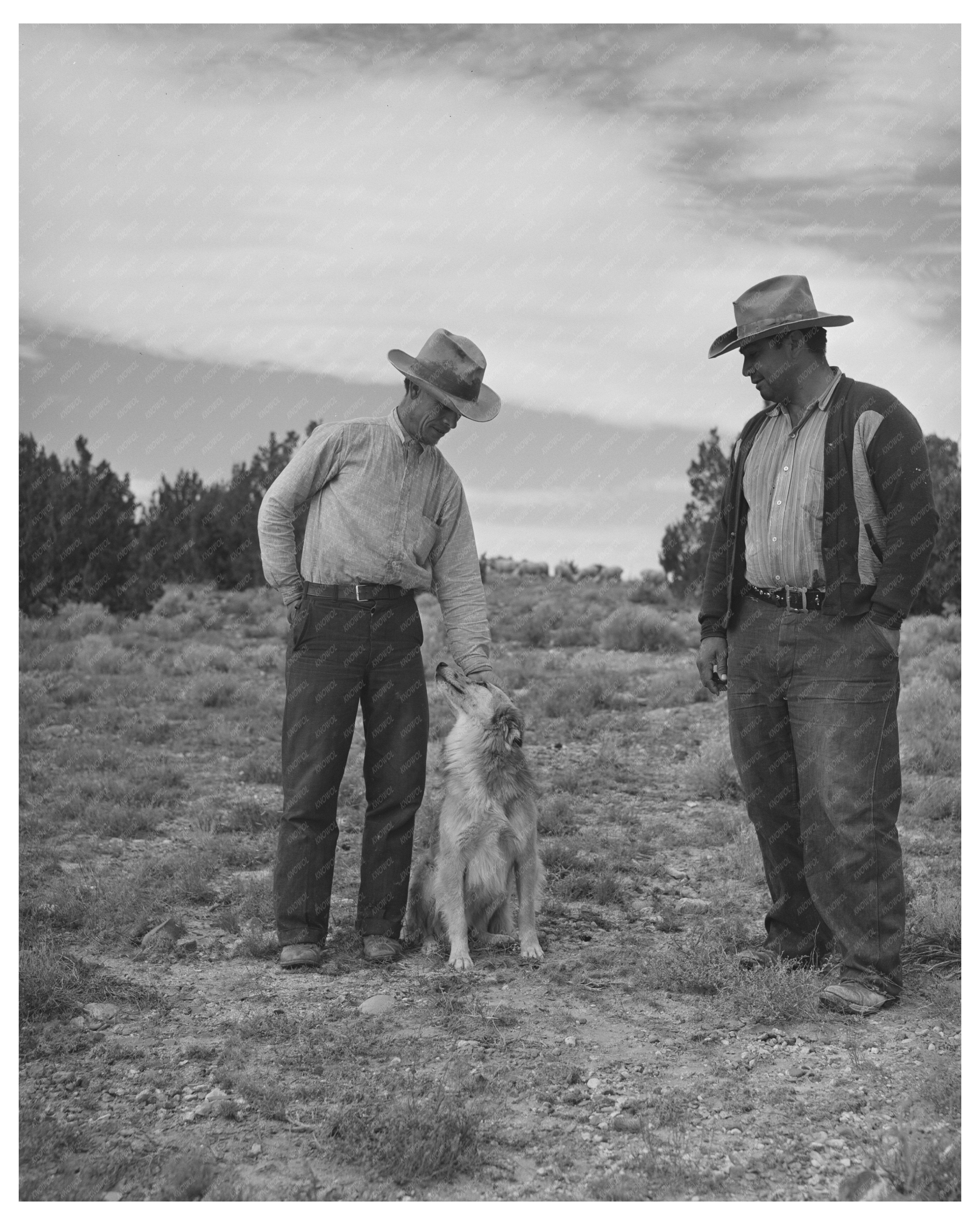 Candelaria Brothers Sheepherders Concho Arizona 1940