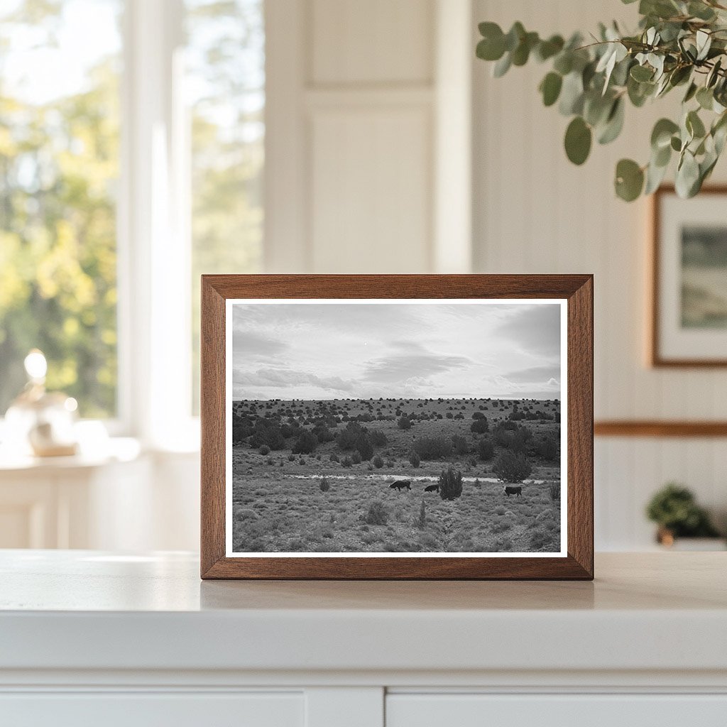 Concho Arizona Rangeland Vintage Photo 1940